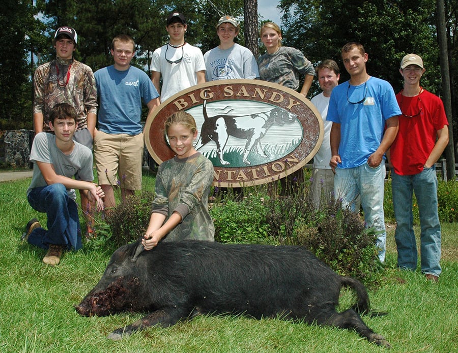 Twiggs-Hog-2011-Lead
