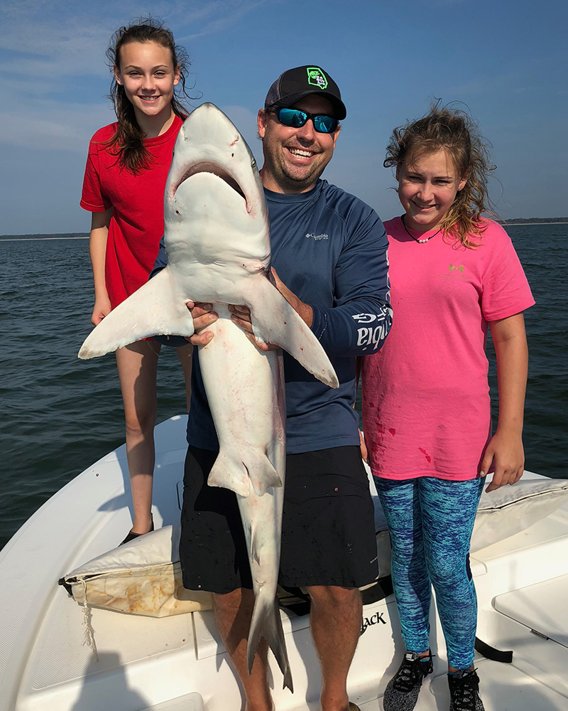 Mcintosh-Shark-2018