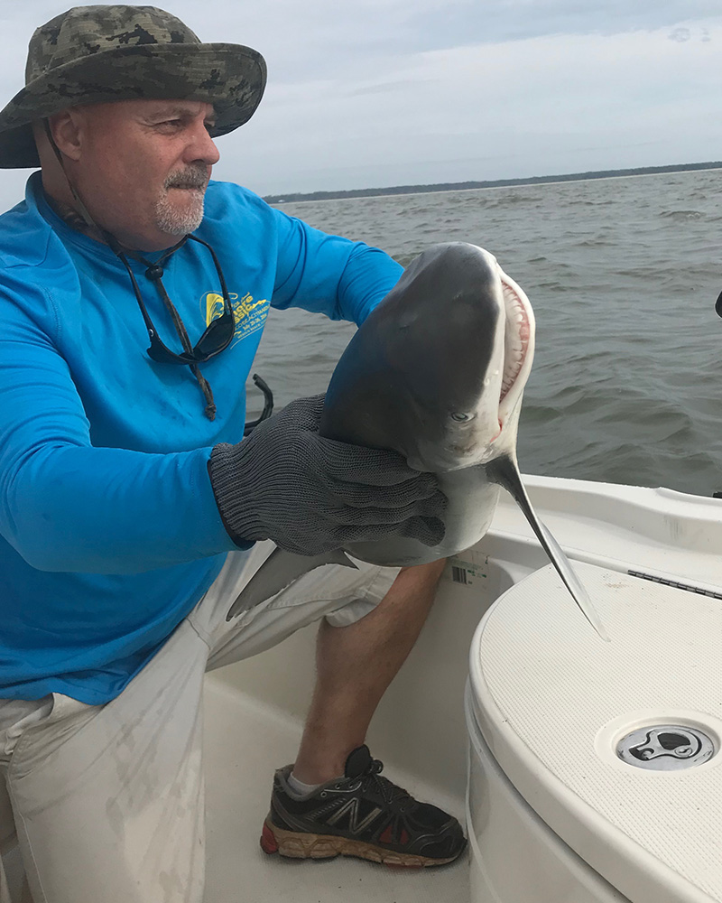 Mcintosh-Shark-2019