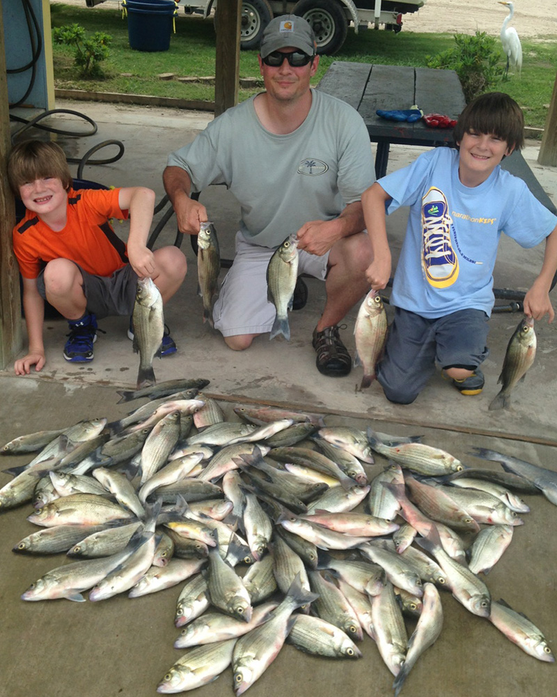 Polk-White Bass-2015